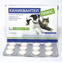 Каниквантел Плюс (Caniquantel plus) для собак и кошек ― Зоомагазин "Четыре лапы"