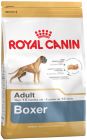 Boxer Adult