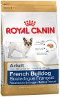 French Bulldog Adult