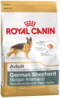 German Shepherd Adult 