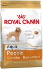 Poodle Adult 