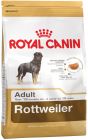 Rottweiler Adult 