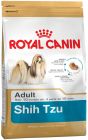 Shih Tzu Adult