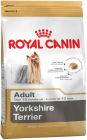 Yorkshire Terrier Adult