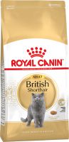 British Shorthair Adult ― Зоомагазин "Четыре лапы"